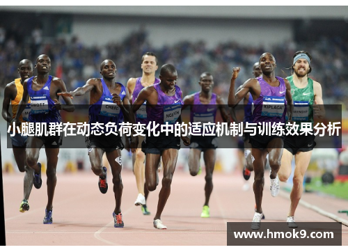 小腿肌群在动态负荷变化中的适应机制与训练效果分析